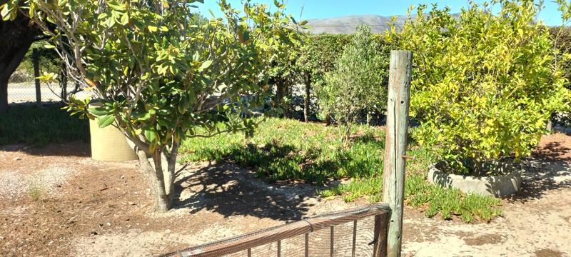 5 Bedroom Property for Sale in Fisherhaven Western Cape